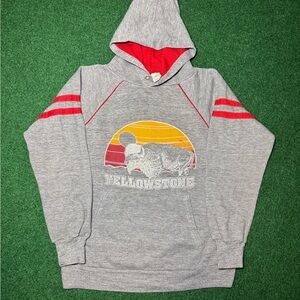 Vintage 70s 80s Yellowstone National Park Hoodie, Buffalo Sweatshirt (Small)